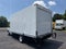 2024 Ford E-350 Cutaway Base
