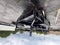 2026 RAM Ram 5500 Chassis Cab RAM 5500 TRADESMAN CHASSIS CREW CAB 4X4 84' CA