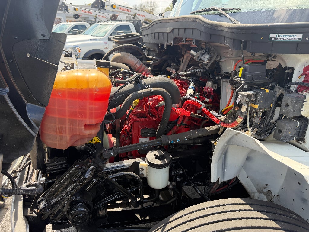 2022 International MV Base