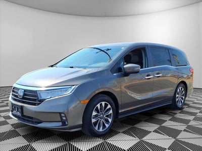 2023 Honda Odyssey EX-L