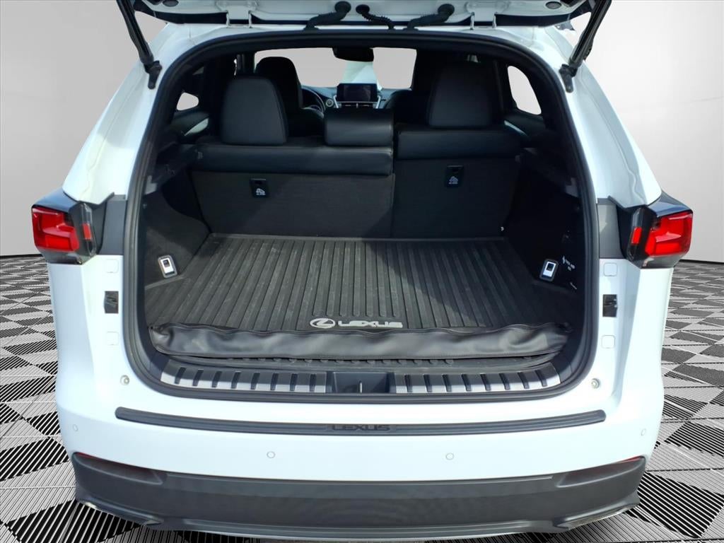 2021 Lexus NX 300 F SPORT